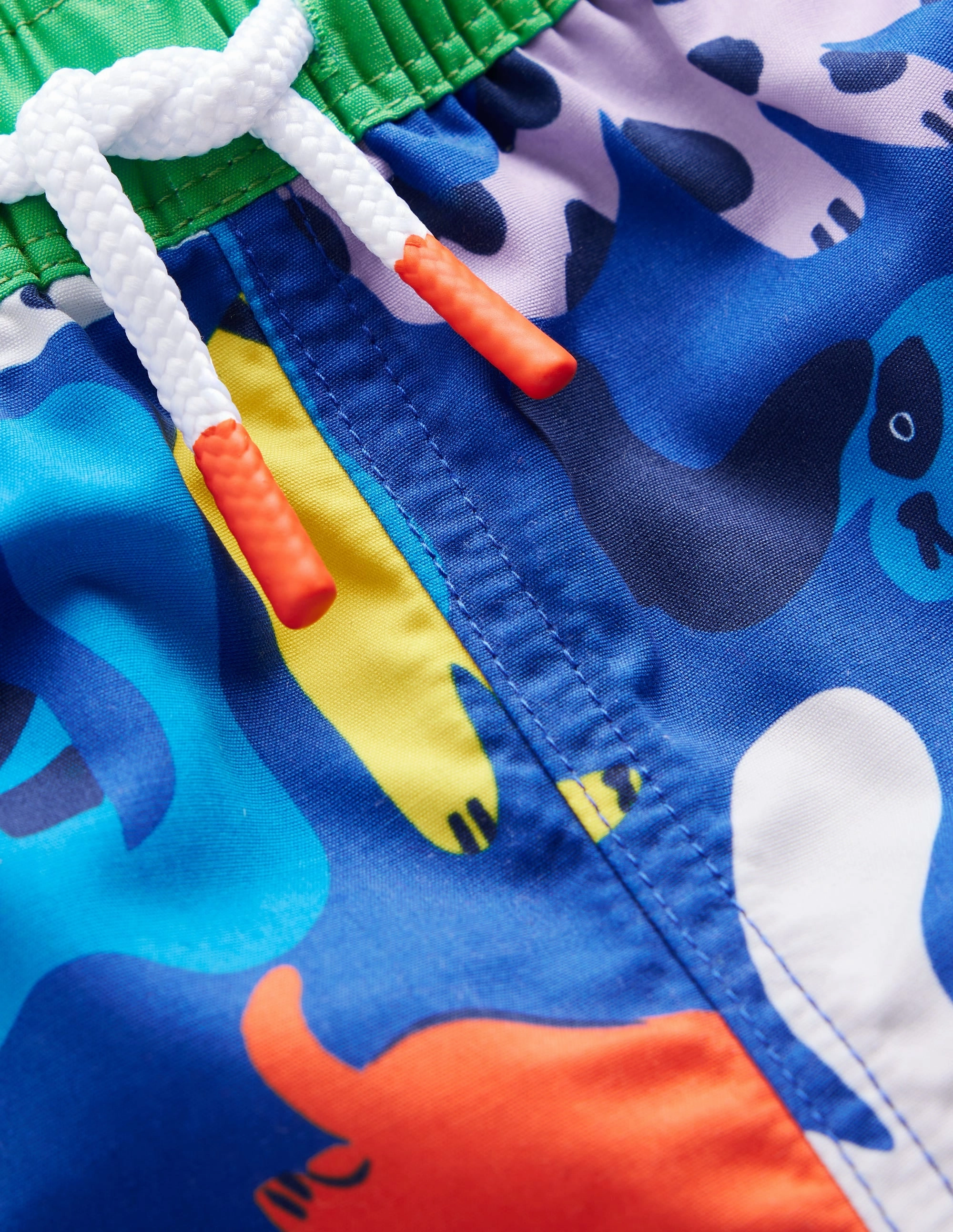 Multi Panel Construction Swim Shorts-Rainbow Pets