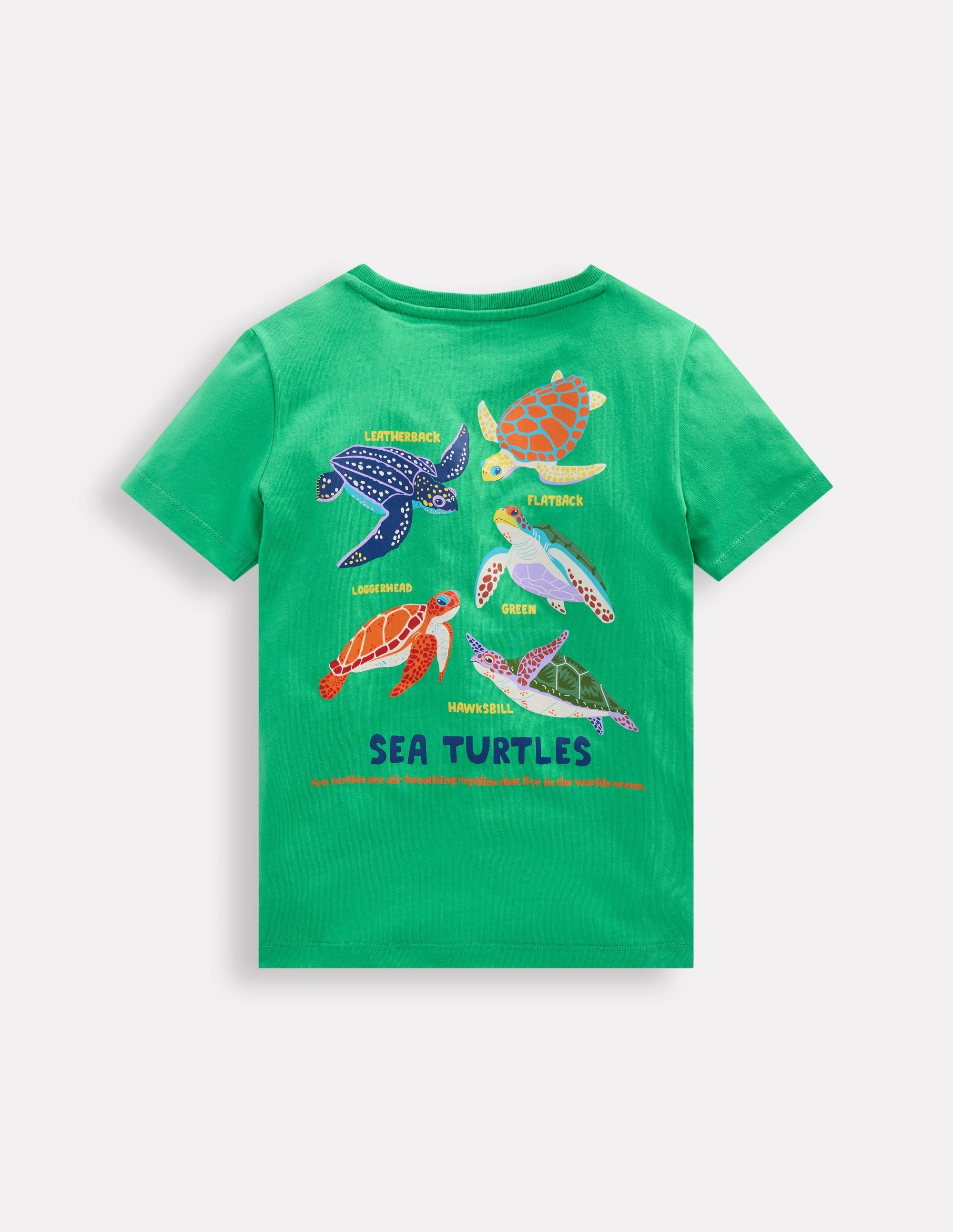 Front & Back Printed T-shirt-Aquamarine Blue Turtles Microfiber texture Chill Design