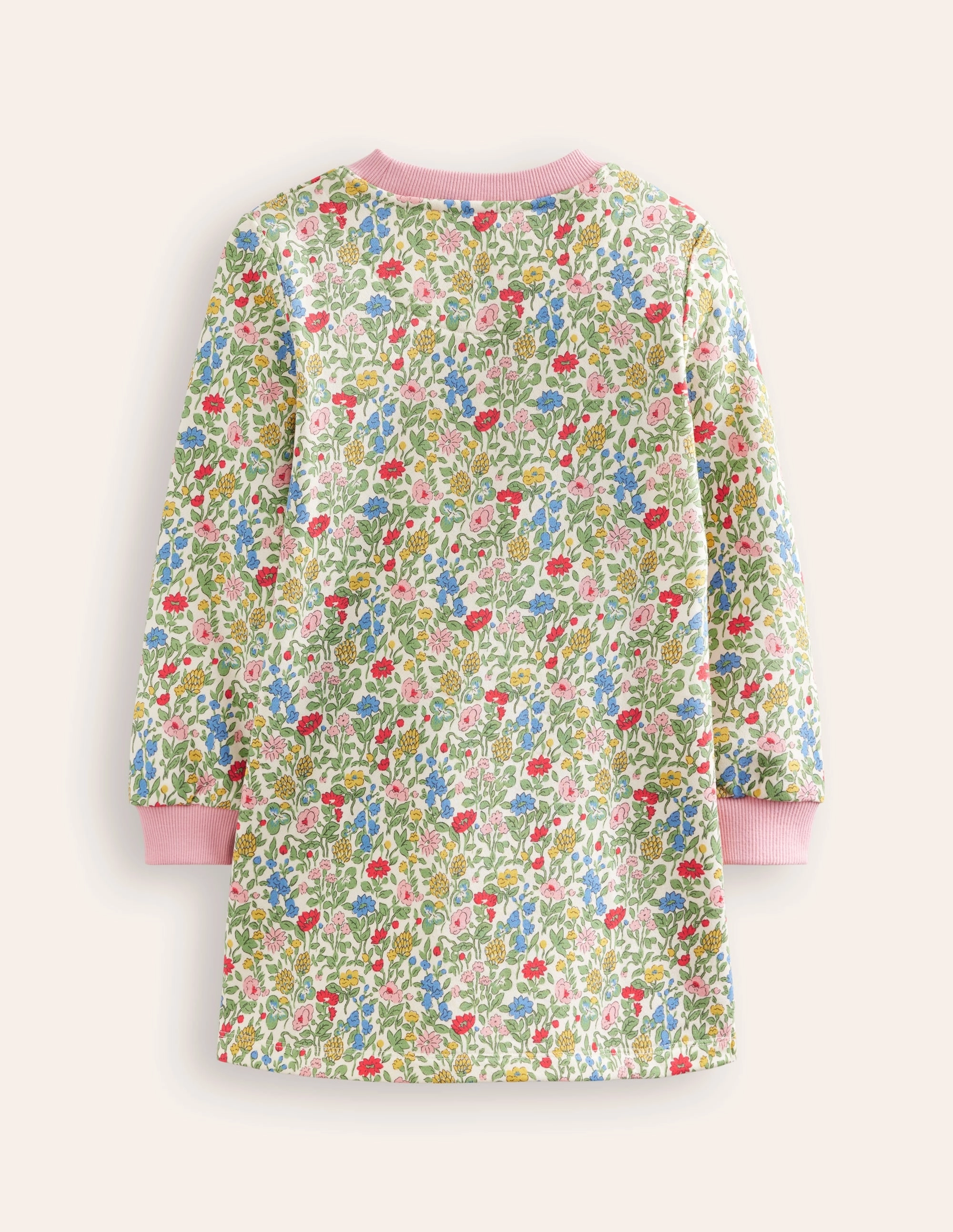 Ida Sweatshirt Appliqu?? Dress-Multi Meadow Floral Dinosaurs Chic and Cozy Wear Celebrity-Inspired