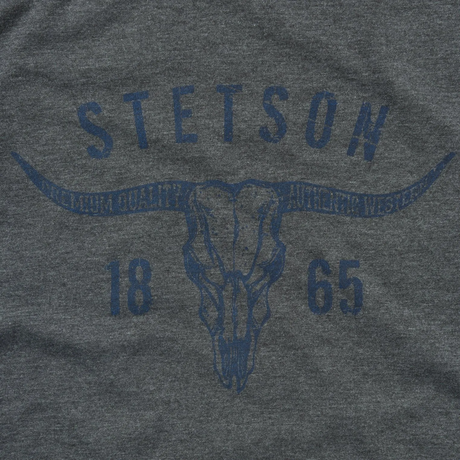 stain resistant coating Longhorn Graphic Tee