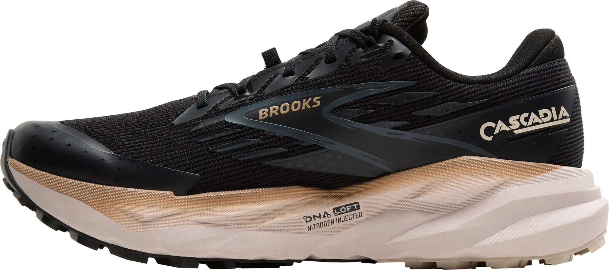 running in a tundra area shoes Brooks Cascadia 19 GORE-TEX Mens Trail Running Shoes - Black