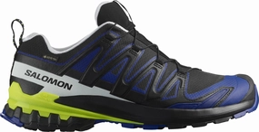 Dynamic Arch Lock reinforced - structure - robustness shoes Salomon XA Pro 3D V9 GORE-TEX Mens Trail Running Shoes - Black