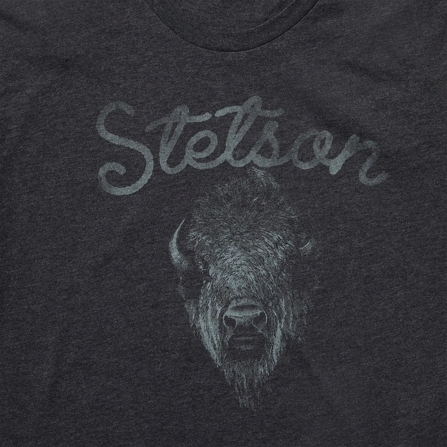 Shimmer Effect Athletic Cut Bison Spirit Graphic Tee