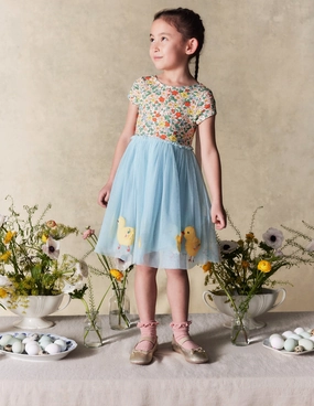 Ami Applique Tulle Dress-Pale Blue Chicks Casual and Comfy Simple Shape